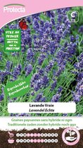 Protecta Kruiden/bloemen zaden: Lavendel Echte | Lavandula
