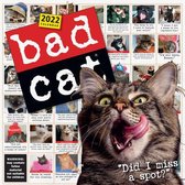 Bad Cat Wall Calendar 2022