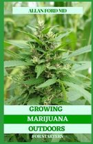 Growing Marijuana Outdoors for Starters