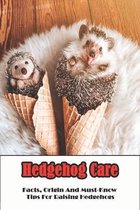 Hedgehog Care_ Facts, Origin And Must-know Tips For Raising Hedgehogs