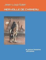 Merveille de Chameau: et autres histoires africaines