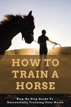 How To Train A Horse: Step-By-Step Guide To Successfully Training Your Horse