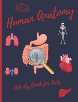 Human Anatomy