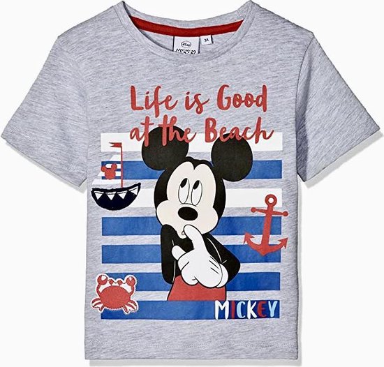 Disney Mickey Mouse t-shirt - life is good - jaar)