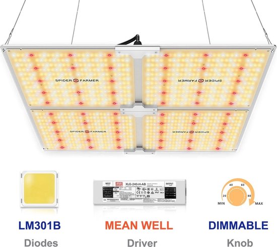 philips globes