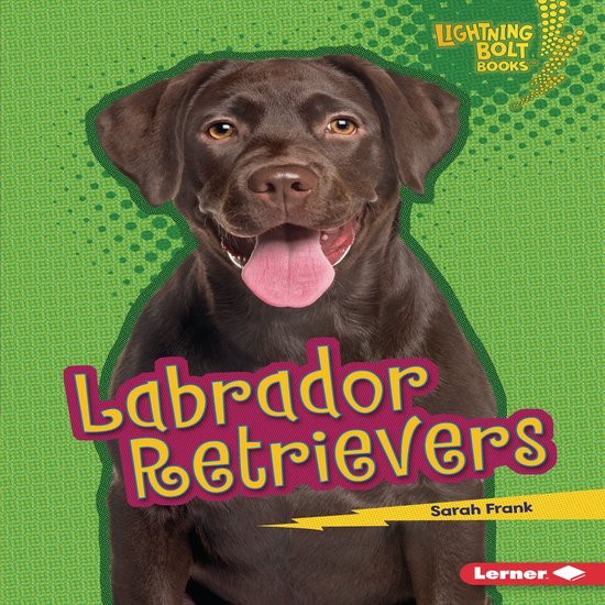 Labrador Retrievers - cover