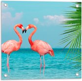 Tuinposter – Twee Liefdevolle felroze Flamingo's in het Water  - 50x50cm Foto op Tuinposter  (wanddecoratie voor buiten en binnen)