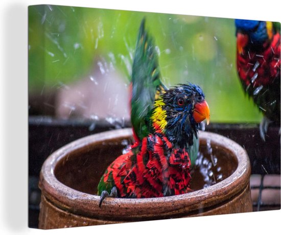 Automatische badkuip met papegaai, fontein, vogelbad met stromend water
