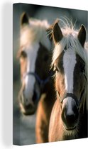 Deux chevaux Haflinger toile 2cm 60x90 cm - impression photo sur toile peinture Décoration murale salon / chambre à coucher) / Animaux sauvages Peintures Toile
