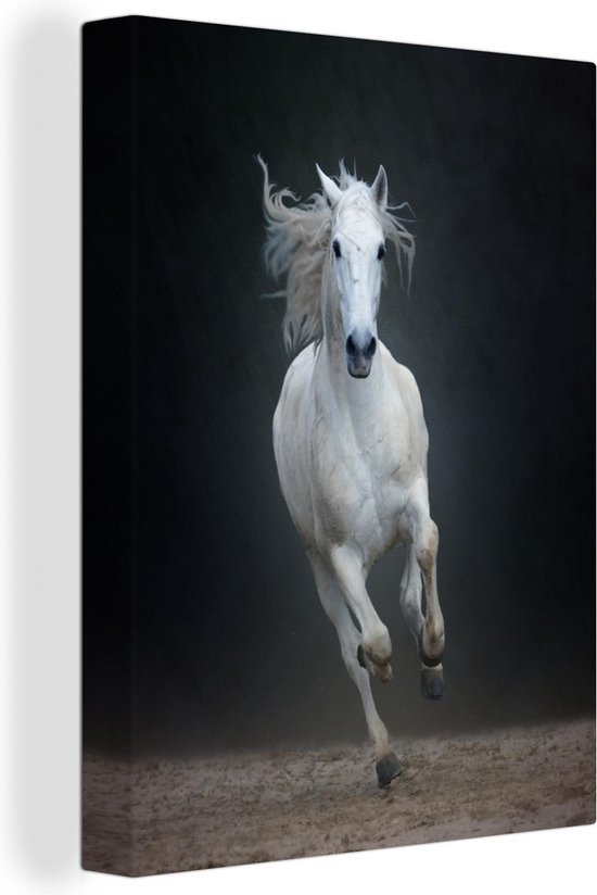 Un cheval lusitanien galope sur une toile unie sablonneuse 60x80 cm - Tirage photo sur toile (Décoration murale salon / chambre) / Animaux de la ferme Peintures sur toile