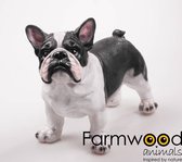 Hond franse bulldog staand 38x19x30 cm
