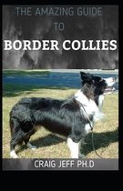The Amazing Guide to Border Collies