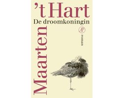 Omslag van De droomkoningin