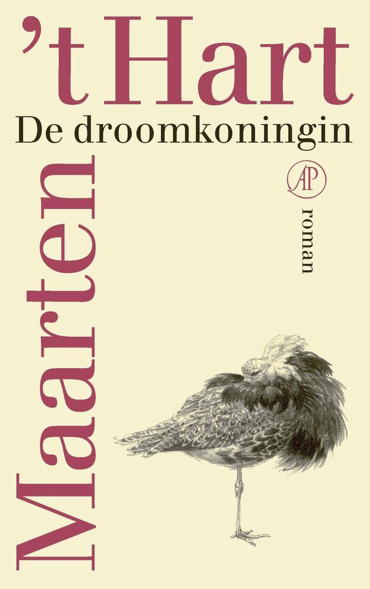 Omslag van De droomkoningin