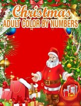 Christmas Adult Color By Numbers