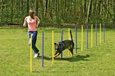 KARLIE Dog Agility Hondentraining - Slalom