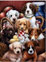 DIY - Schilderen Op Nummer Volwassenen - Puppies - 40x50 cm