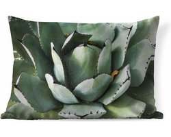 Sierkussen Cactus voor binnen - Detailfoto van een mintgroene cactus - 60x40 cm - rechthoekig binnenkussen van katoen Sierkussen Cactus voor binnen - Detailfoto van een mintgroene cactus - 60x40 cm - rechthoekig binnenkussen van katoen