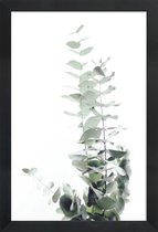 JUNIQE - Poster in houten lijst Eucalyptus foto -40x60 /Groen & Wit