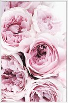 JUNIQE - Poster met kunststof lijst Roze rozen foto -13x18 /Roze