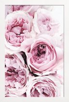 JUNIQE - Poster in houten lijst Roze rozen foto -40x60 /Roze