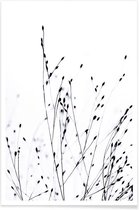 JUNIQE - Poster Black Grass -60x90 /Wit & Zwart