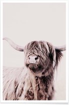 JUNIQE - Poster Highland Cattle Frida Crème -30x45 /Bruin & Ivoor