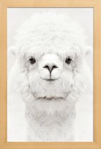 JUNIQE - Poster in houten lijst Lachende Alpaca -30x45 /Wit