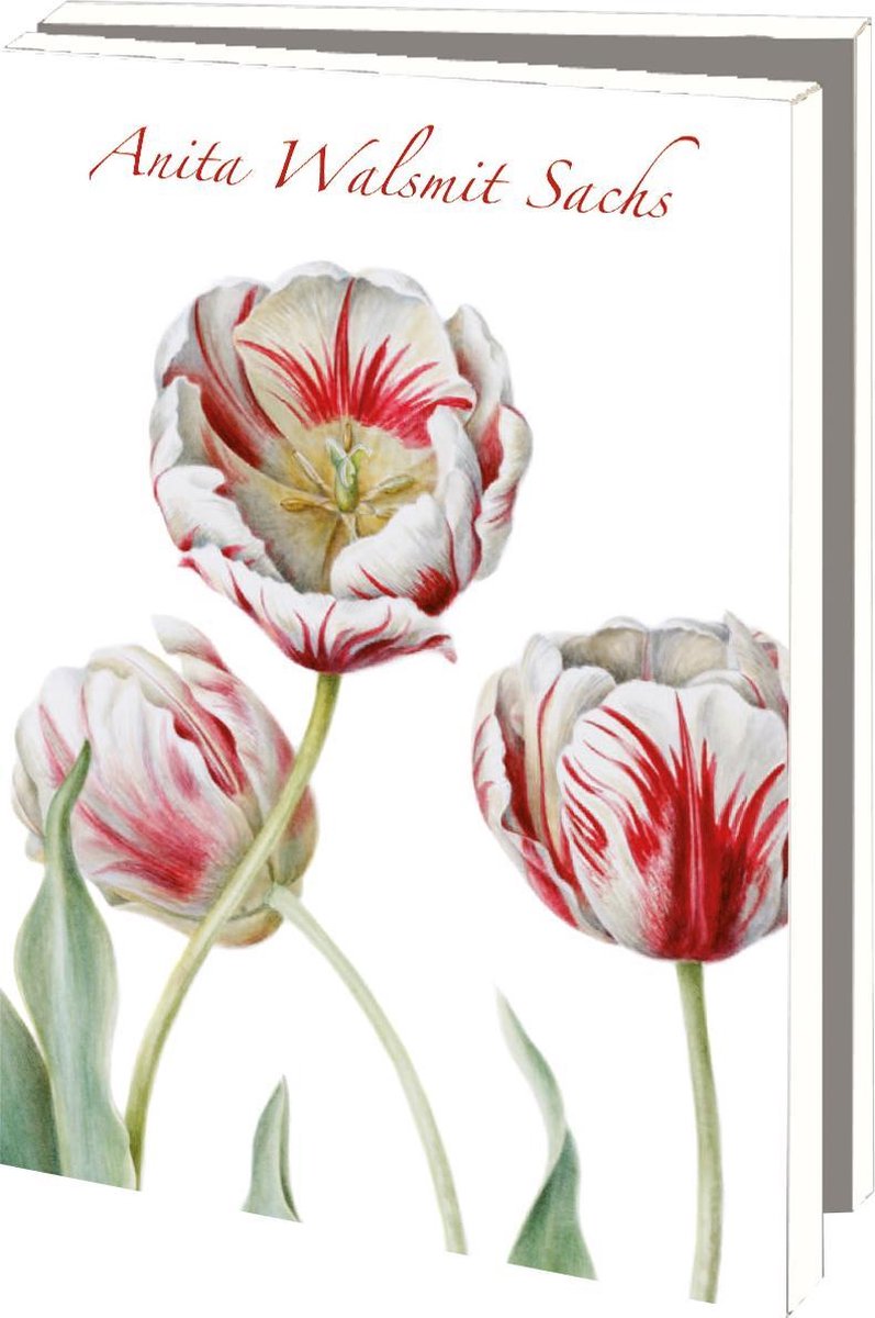 Bekking&Blitz (museum)kaartjes klein Bloemen van Anita Walsmit Sachs