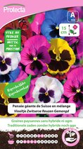 Protecta Bloemen zaden: Viooltje Zwitserse Reuzen Gemengd