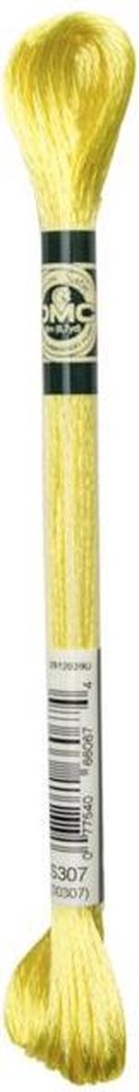 DMC Mouline Satin Nr. S307 Borduurgaren