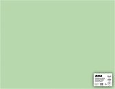 APLI  Smaragdgroen Karton 50 x 65 cm 170 g/m² - 25 vel