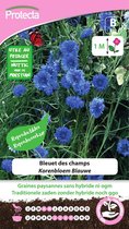 Protecta Bloemen zaden: Korenbloem Blauwe | Centaurea cyanus