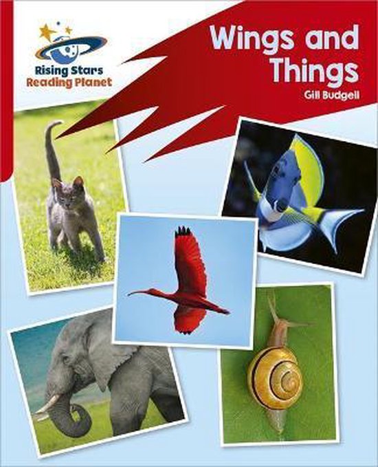 Reading Planet: Rocket Phonics – Target Practice – Wings and Things ...