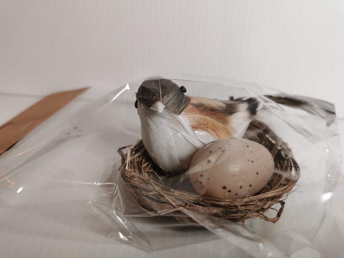 Knikken bedrag Rechtzetten Paasdecoratie Nestje met vogel en eitje 7cm x 5cm | bol.com