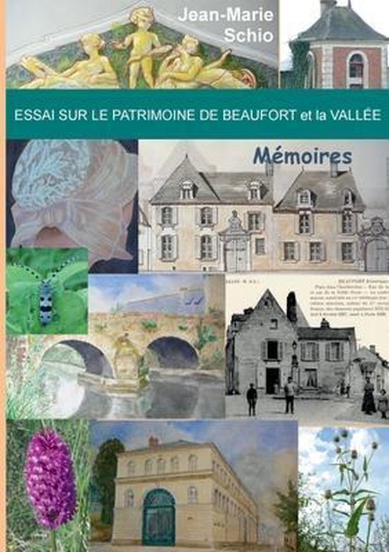 Essai sur le patrimoine de Beaufort et la Vallée - cover