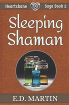 Sleeping Shaman