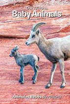 Our Arizona: Baby Animals