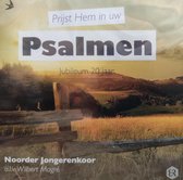 Prijst Hem in uw Psalmen - Noorder Jongerenkoor o.l.v. Wilbert Magré - Jubileum 20 jaar / Arjan en Edith Post trompet - Marcel van de Ketterij orgel - Wilbert Magré piano / CD Chri