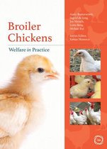 Broiler Chickens Welfare in Practice