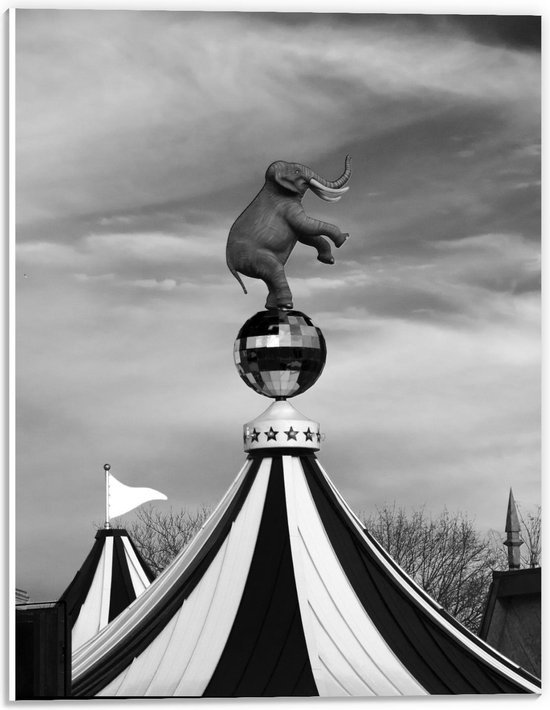 Foto: Forex olifant op circustent zwart wit 30x40cm foto op forex