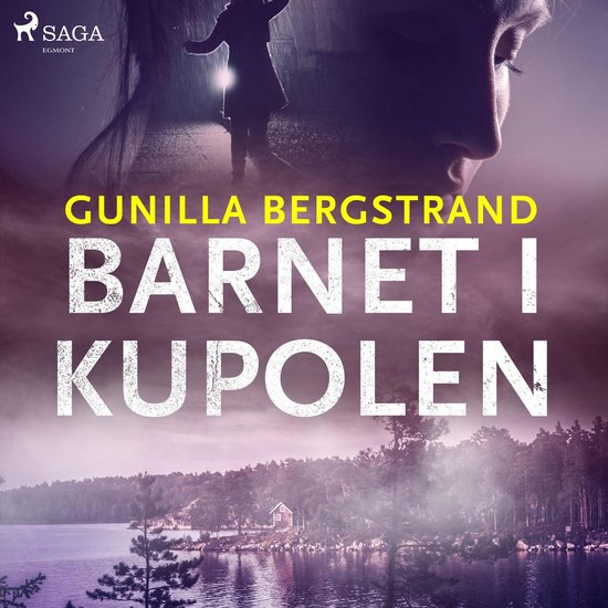Barnet i kupolen - cover