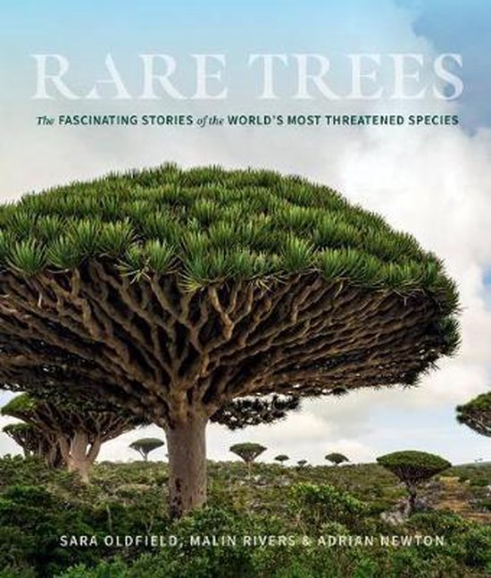 Rare Trees - cover
