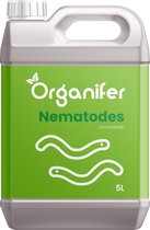 Nematodes - Bodemaaltjes Concentraat - 5 Liter voor 5000m2 - Gebruik bij rozenmoeheid - Wortelaaltjes - Aardappelcysteaaltjes - Bietencysteaaltjes - Voorkomt en geneest - Organifer