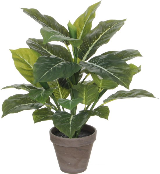 Artificiel Evergreen Green - H 50cm - Pot décoratif en céramique - Mica Decorations
