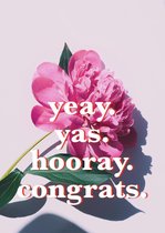 studio bee + lobster - wenskaarten - yeay. yas. hooray. congrats. - 6 stuks
