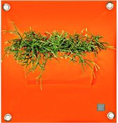 Plantenbak Bloomingwalls The Green Pockets - PEVA1 - Oranje