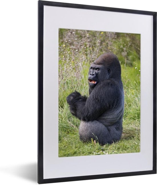 Poster Gorilla - voedsel zoekende zwarte Gorilla fotolijst zwart... | bol.com
