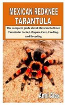 Mexican Redknee Tarantula: The complete guide about Mexican Redknee Tarantula
