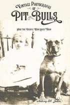 Vintage Photographs of Pit Bulls